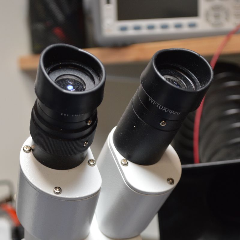 Stereo microscope, AmScope SE400-Z