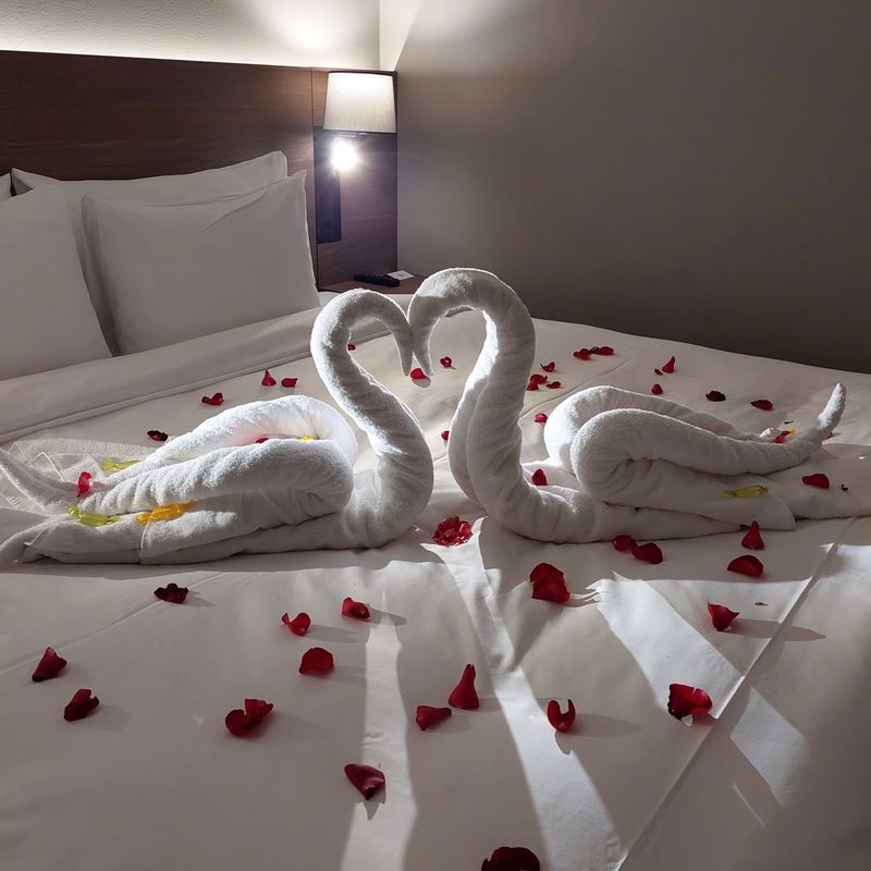 Swans and rose petals on the hotel bed
